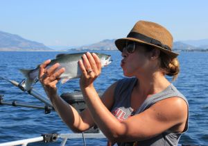 Okanagan Lake Kokanee fishing!