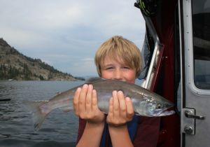 My first Okanagan Lake Kokanee!