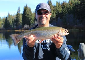 Mountain Lake fly fishing for fall Brookies