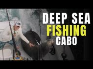 Deep Sea fishing in Cabo San Lucas