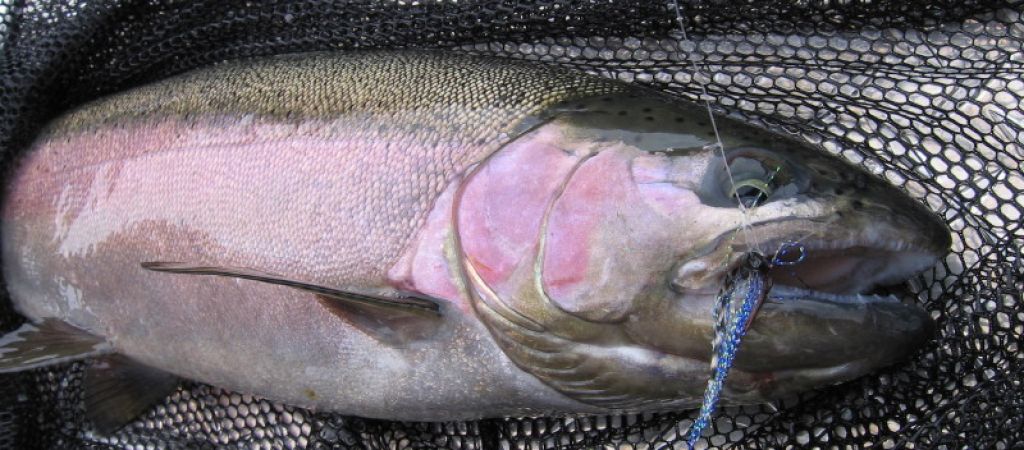 Contact Rodney’s REEL Outdoors