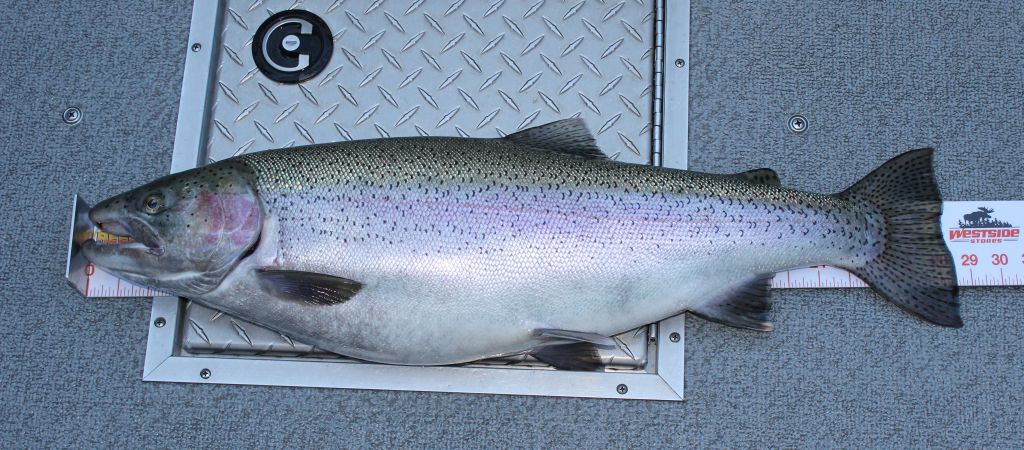 Kelowna Classic Fishing Tournament 2025