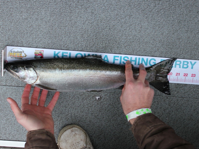 Tournament Fishing Charter Guided Sportfishing Charters