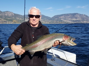 Monster Rainbow caught in Okanagan Lake