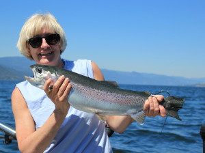 Okanagan Lake Rainbow Trout
