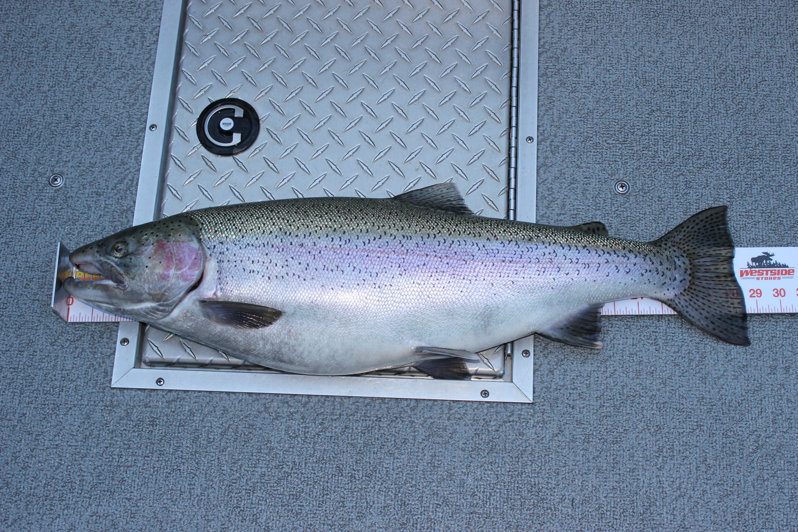 Kelowna Classic Fishing Derby Rodney's REEL Outdoors